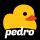 Pedro-Pathing