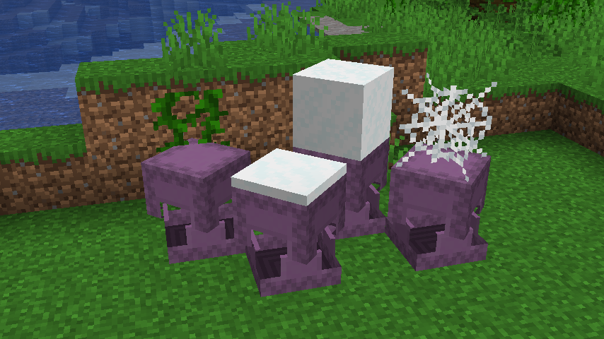 Multiple blocks being raised by the shulker boxes being opened. Note that the vines do not go up.
