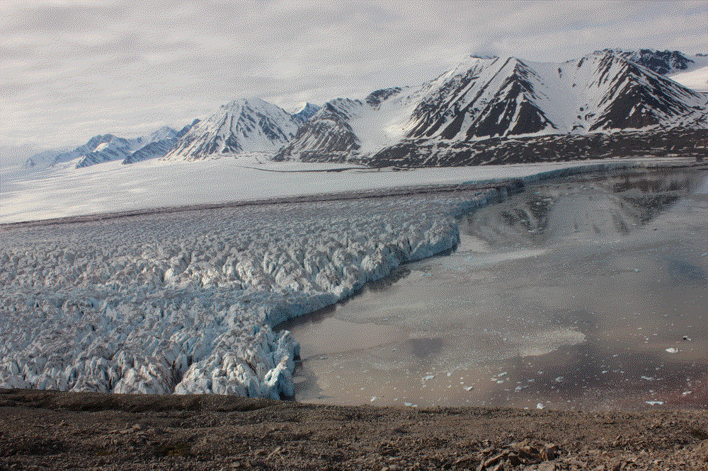 A submarine plume at Kronebreen, with one image taken every hour.