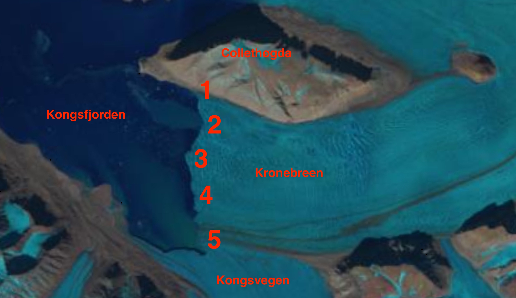 Numbered sections of the calving front of Kronebreen (Landsat image from 09/07/2016, downloaded from USGS LandsatLook Viewer)
