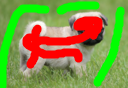 grass_pug_new_mask.png