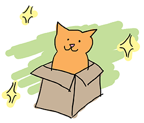 catinabox.png