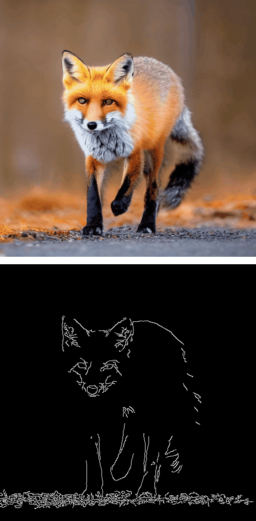 fox_merged_with_input.gif