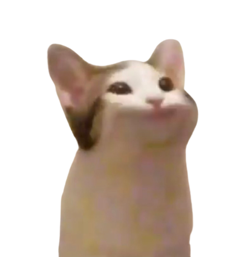 cat.png