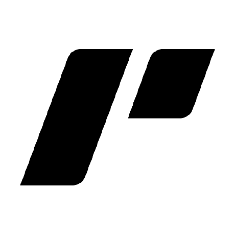Pingfyr/mcp logo