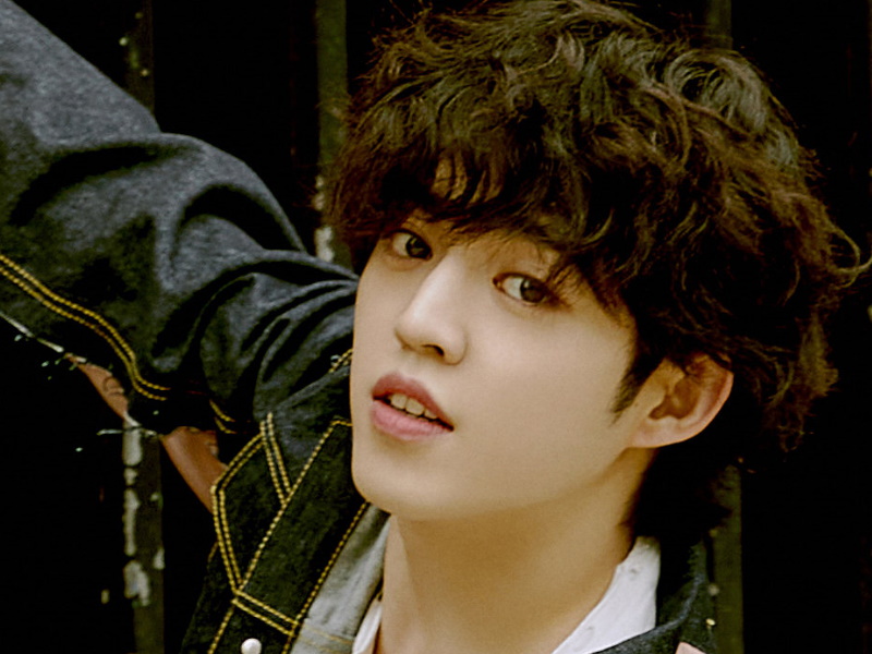Portait of S.Coups (에스쿱스) or Choi Seung Cheol (최승철)