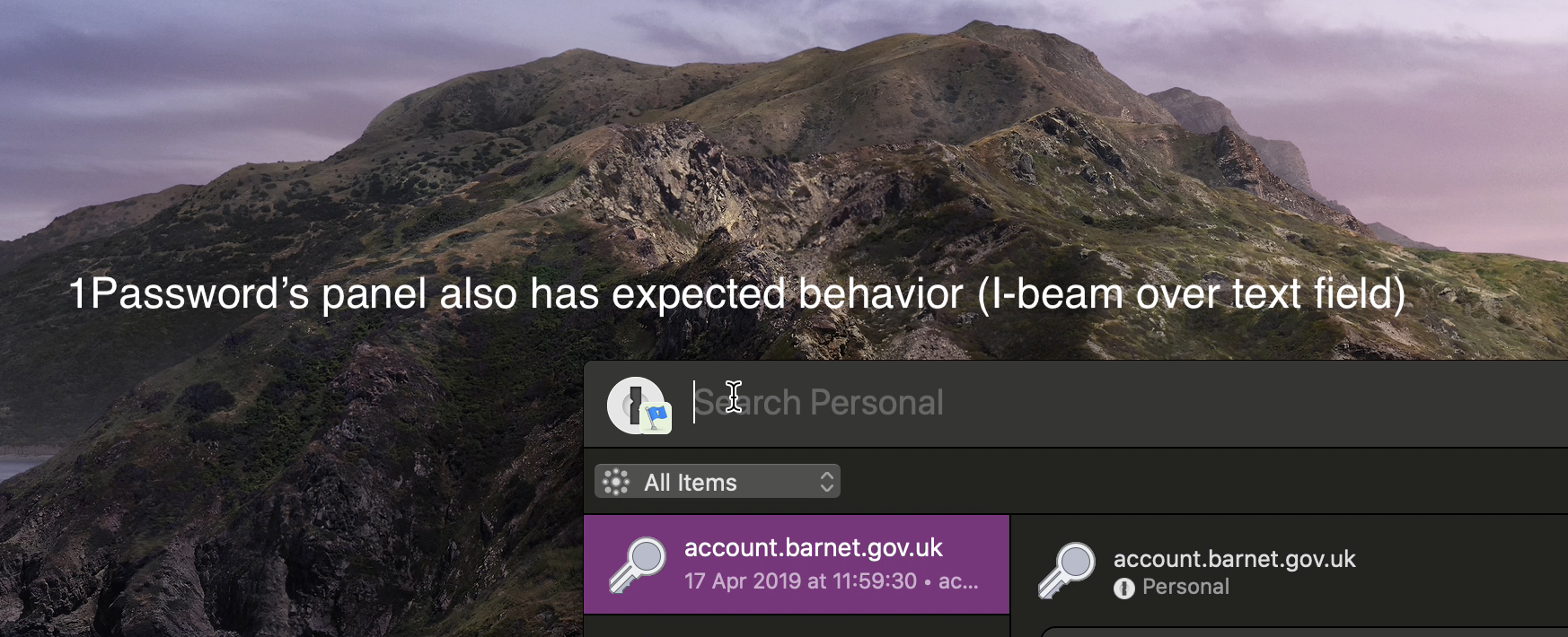 1password-example.png