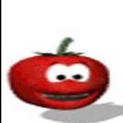 Pomidorry