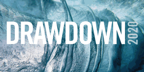 DrawdownReview2020.gif