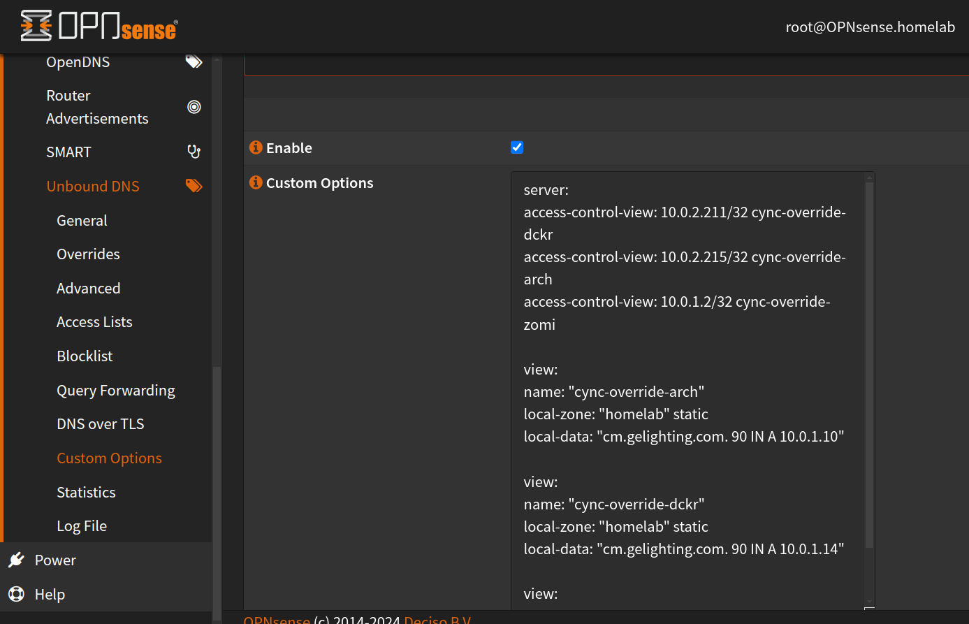 Unbound DNS Custom Options