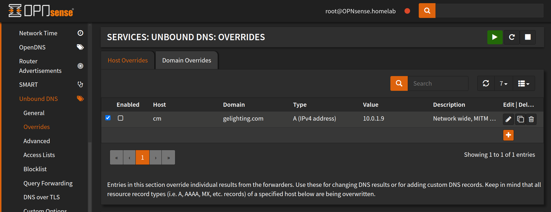 Unbound DNS Overrides