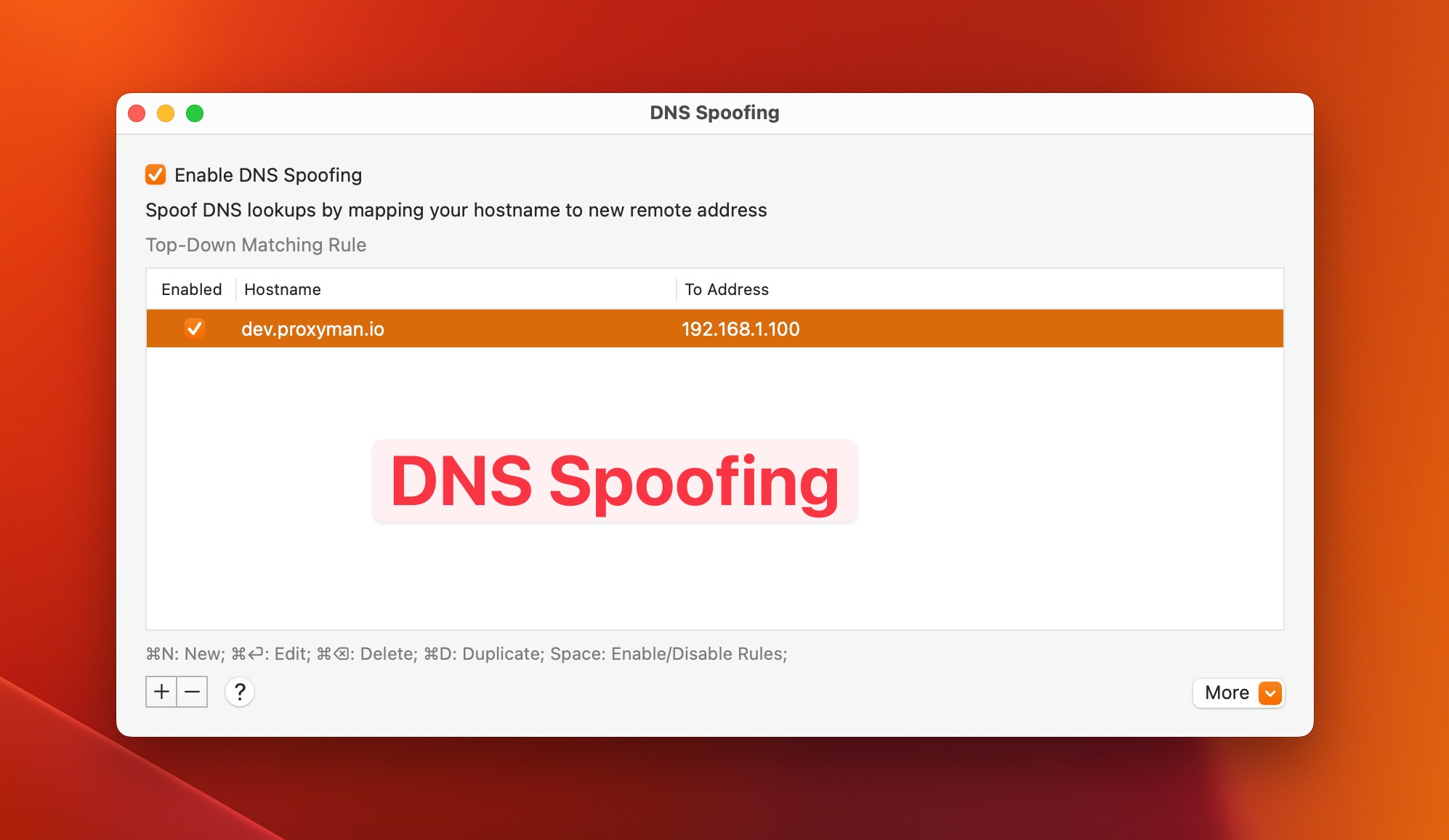 DNS Spoofing with Proxyman