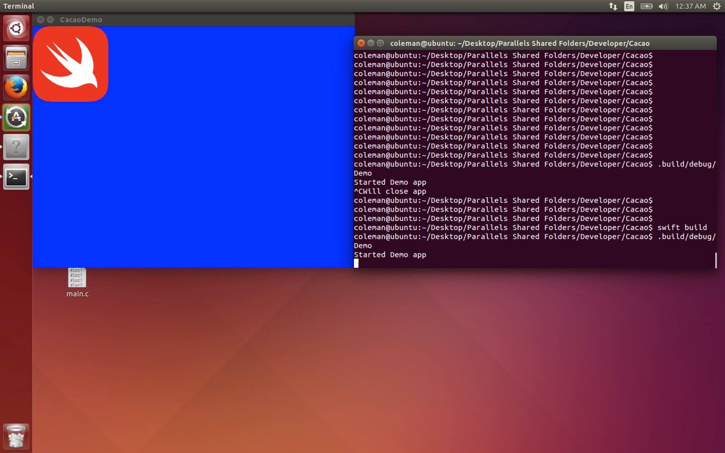 UbuntuWindow.jpg