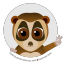 PygmySlowLoris