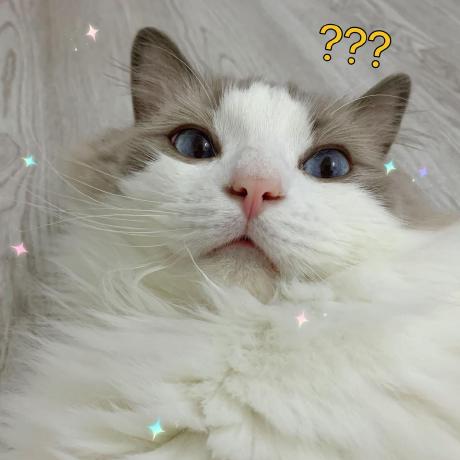 QDyanbing GitHub avatar