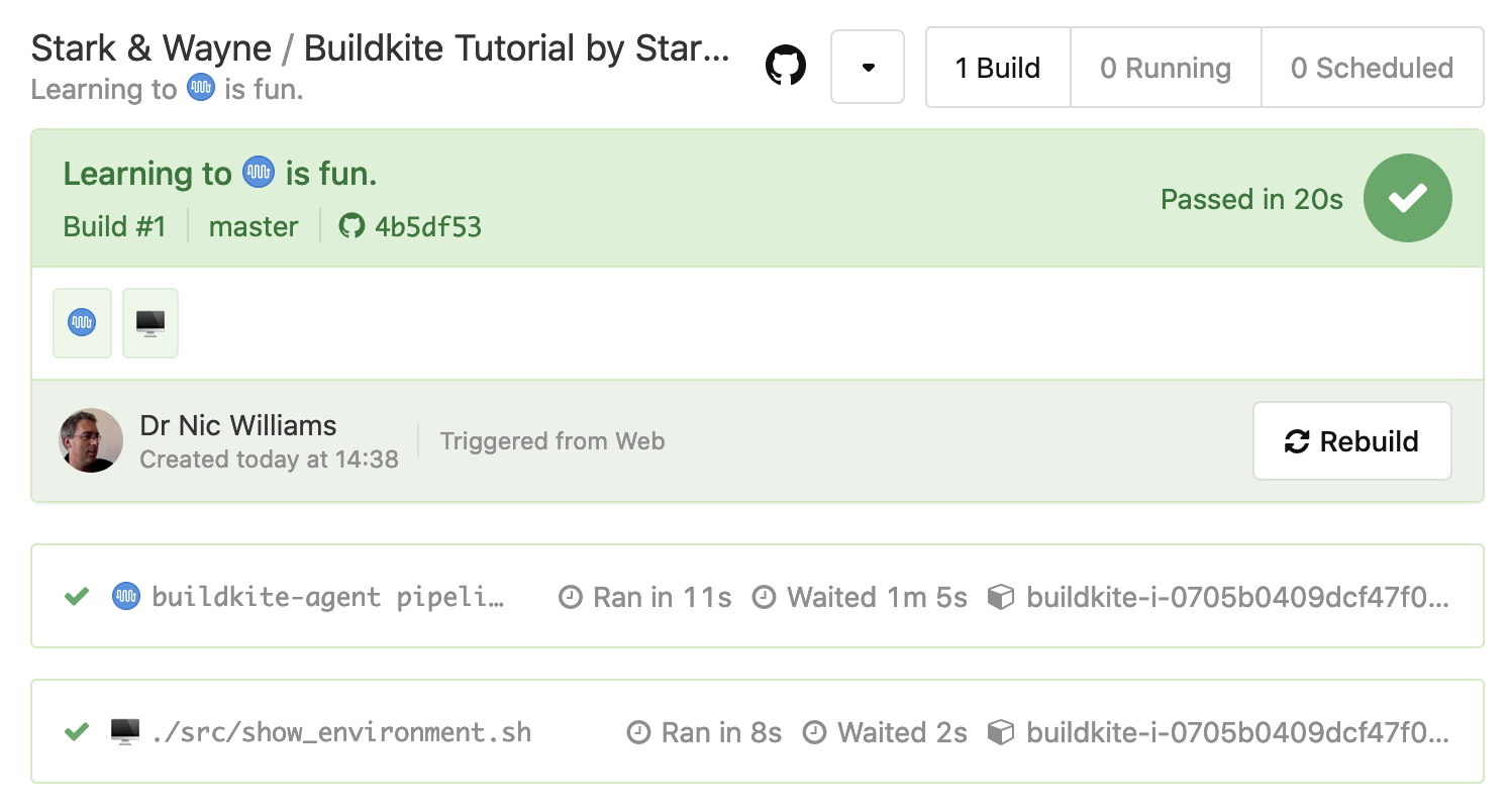 buildkite-show-environment-success.png