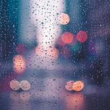 RainyCodeWizard