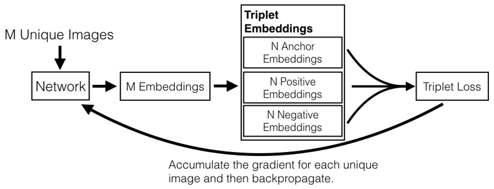 Online_triplet.png