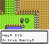 sitrus-berry.png