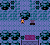 viridian-forest.png