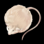 RatPoison-dev