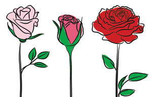 rose2.png