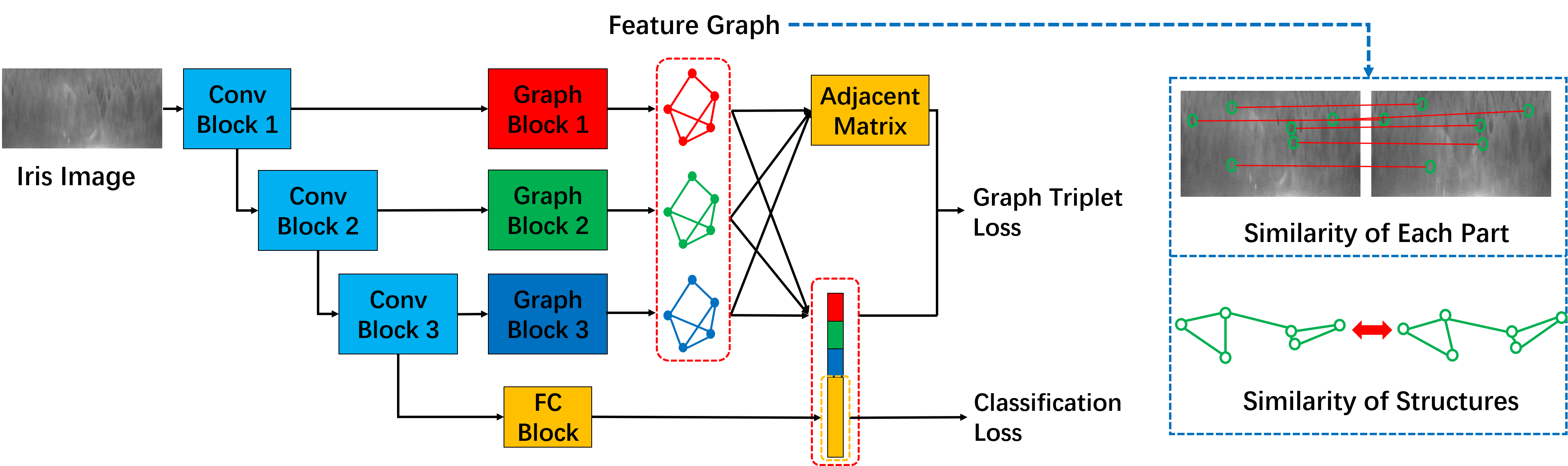 framework_multiscale.png