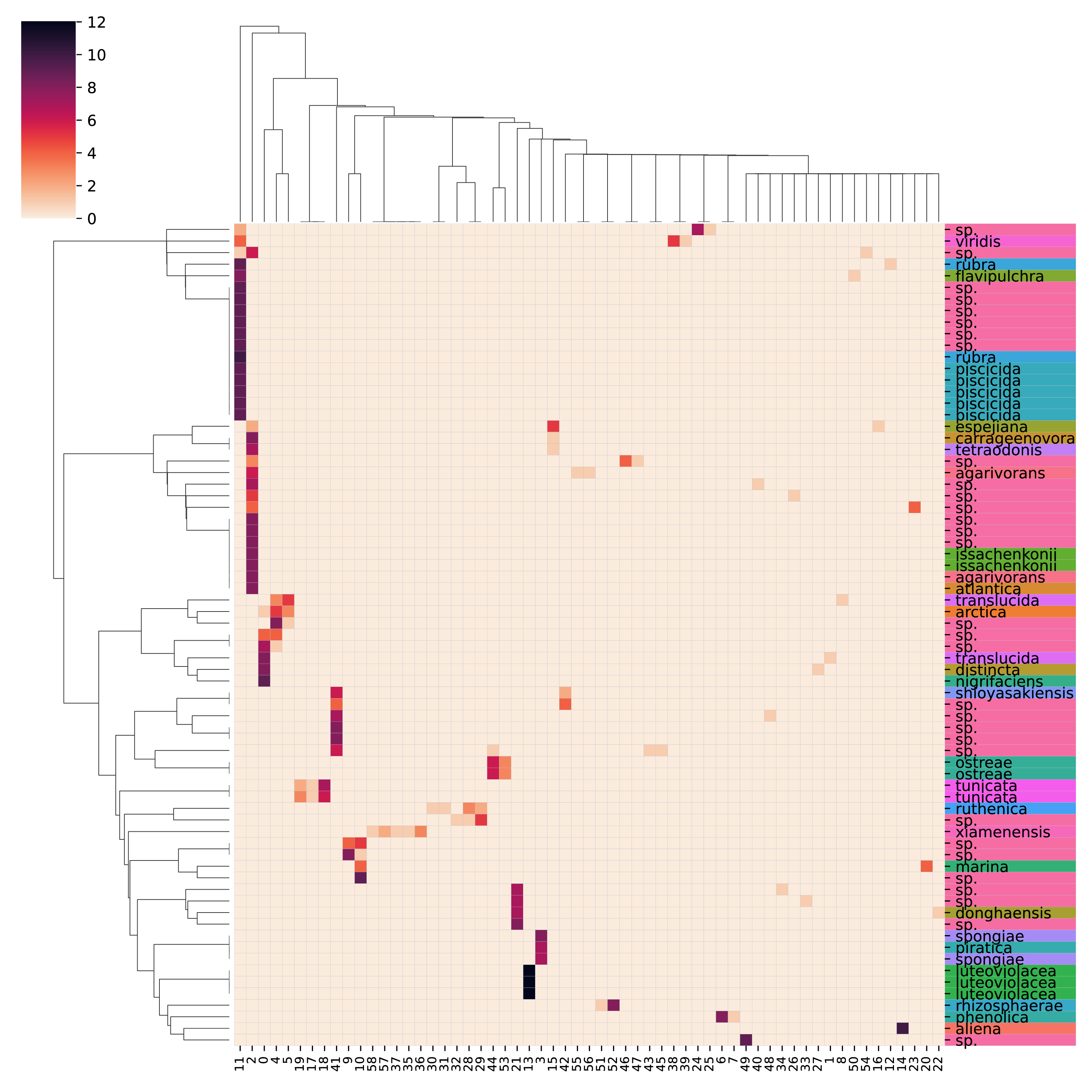 Pseudoalteromonas-v3v4_heatmap.png