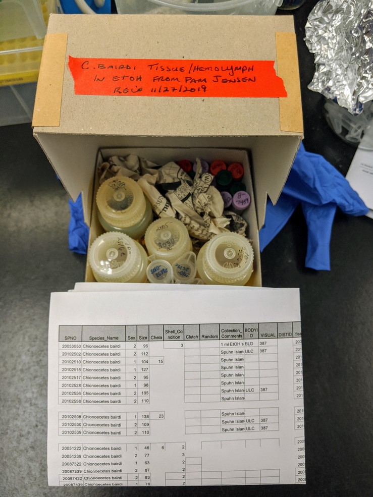 Image of sample storage box