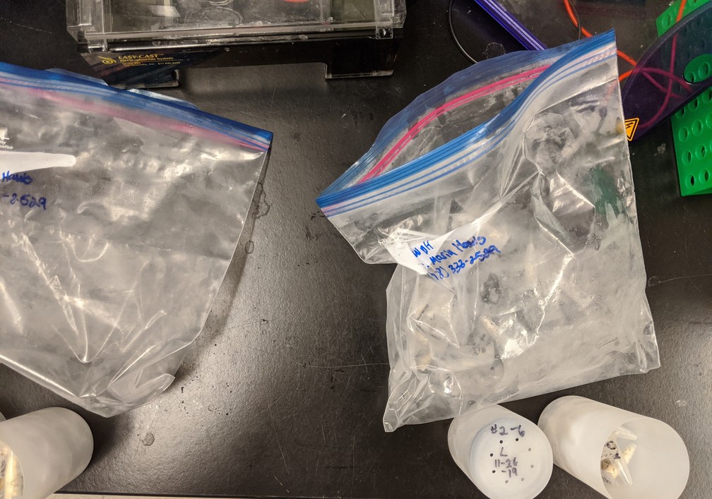 low pH samples removed from bag