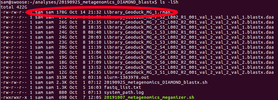 Screencap showing 178GB MEGAN6 file size for a single sample
