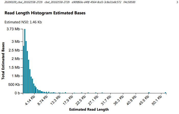 cbai nanopore second run read length histograms