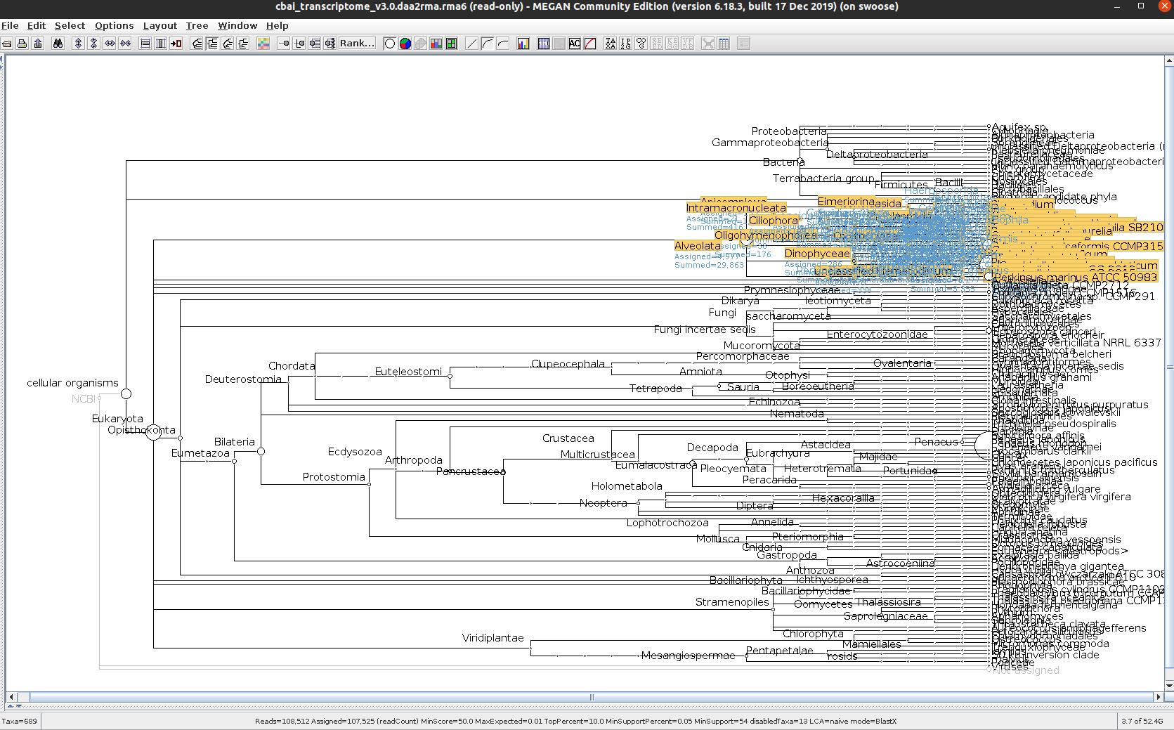 hemat_transcriptome_v3.0 MEGAN Alveolata only taxonomic tree