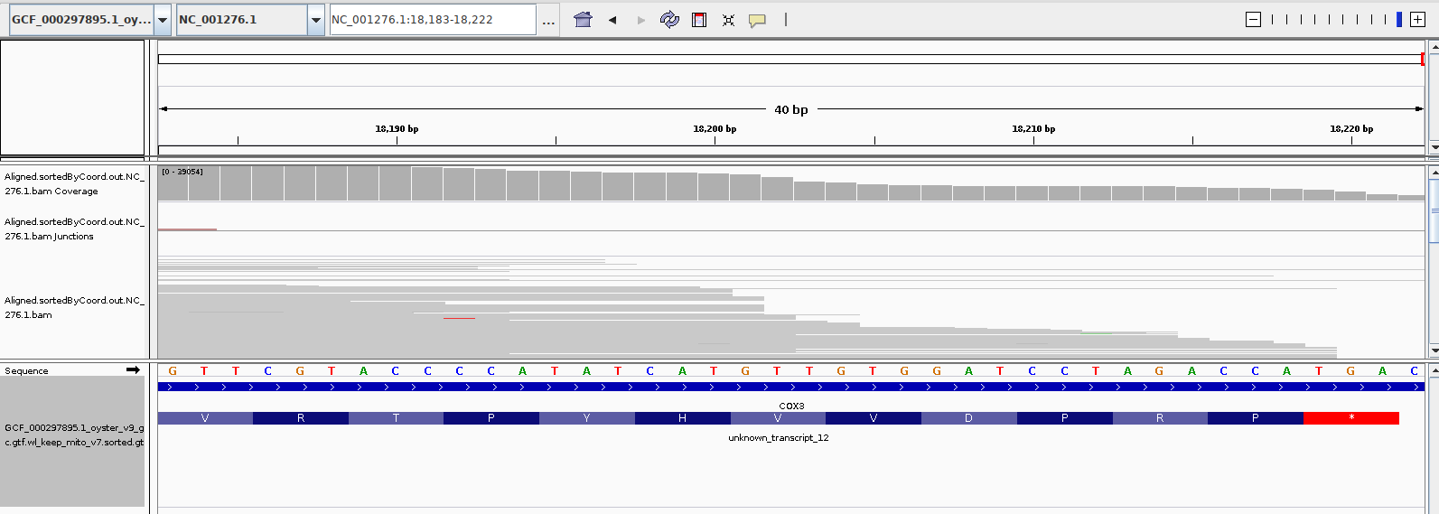 IGV screencap showing standard stop codon usage instead of invertebrate mt tryptophan codon