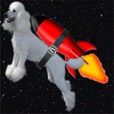 Austin Goddard
