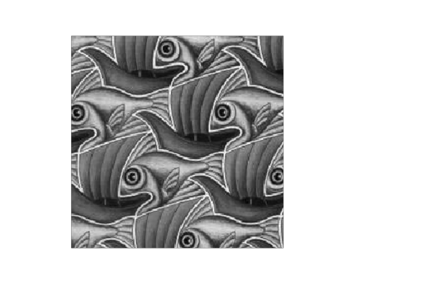 escher_fish.png