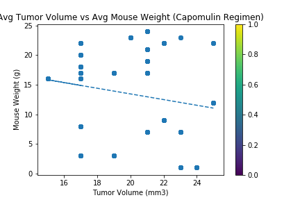 Avg Tumor Volume vs Avg Mouse Weight (Capomulin Regimen).png