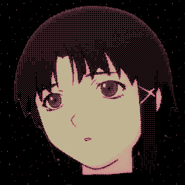 SSDX0213