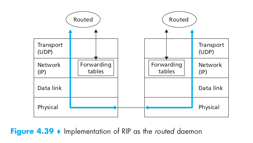 RIP Implementation