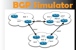 BGP Simulator image