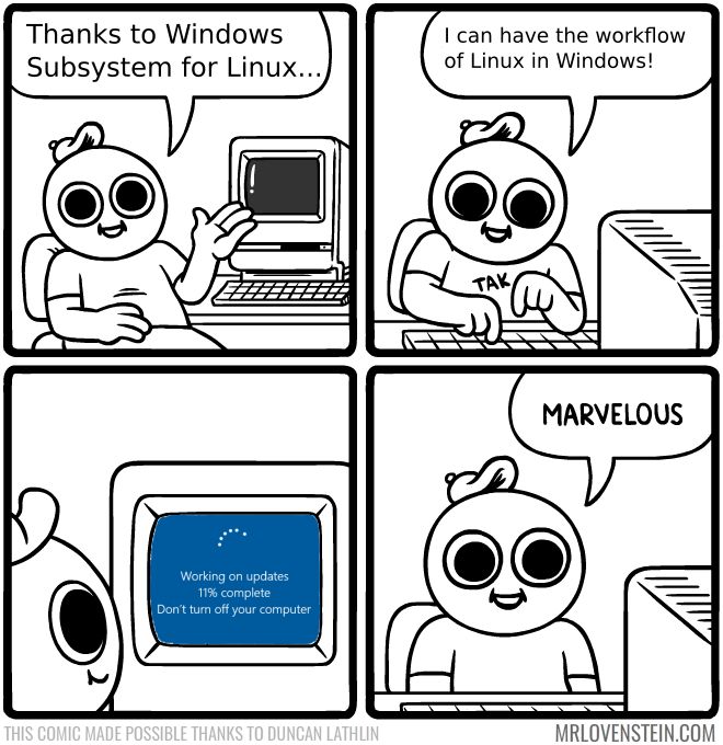 wsl.jpg