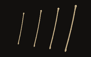 Four fibulas of different stature and sex turn under a lamp