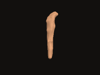 A six-foot male right leg turns as a skin envelope with short hair