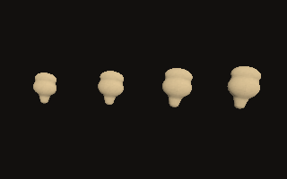 Four patellas of different stature and sex turn under a lamp