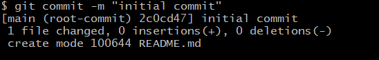 initial_commit.png