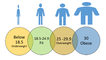 BMI-INDICATOR.png