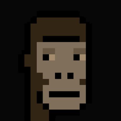 SillyZir