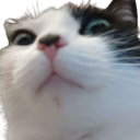 SimonMedy profile avatar