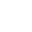 SingularityAI-Dev
