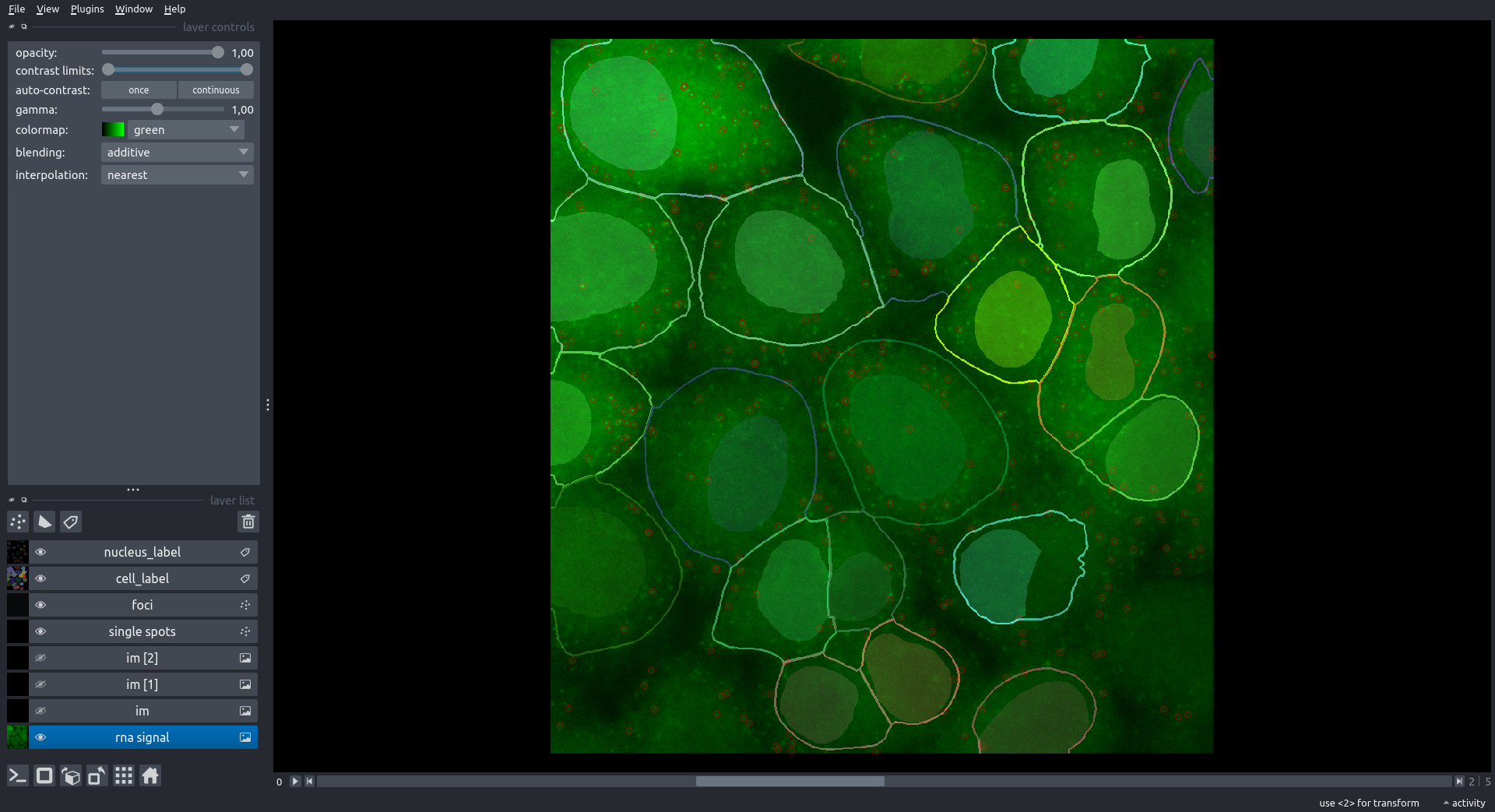 2D napari projections panel